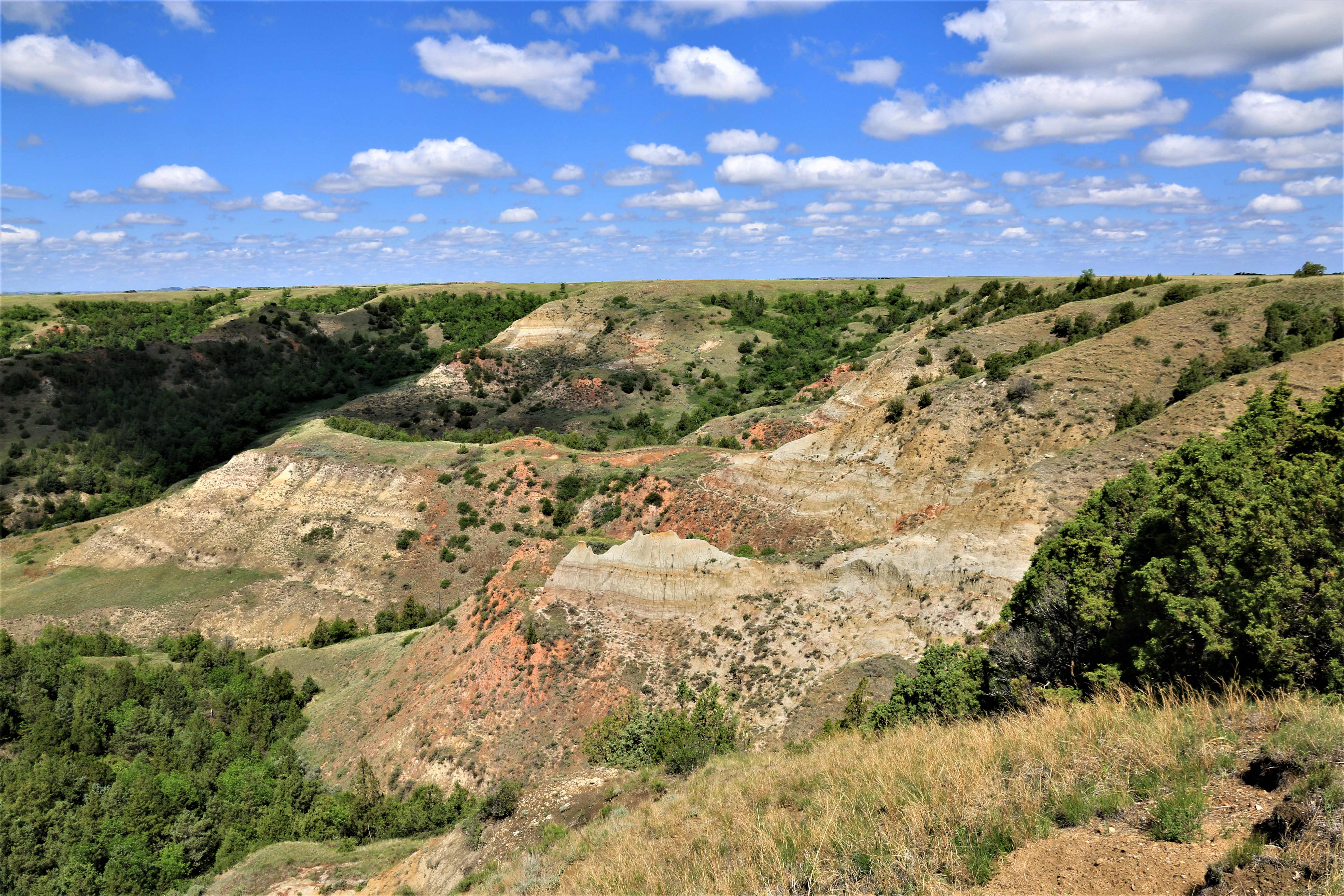 Theodore Roosevelt NP
